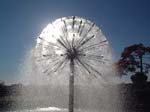fontaine fleur de pissenlit